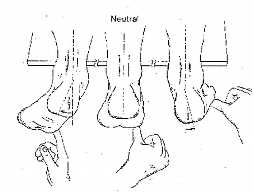 neutral position